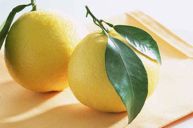 美味柚子减肥食谱 让你越吃越瘦