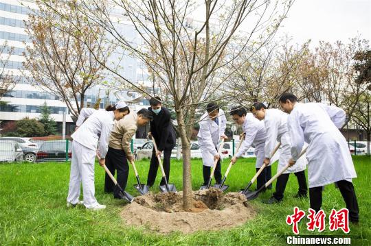李山与医护人员同植“心生树” 刘瑜 摄